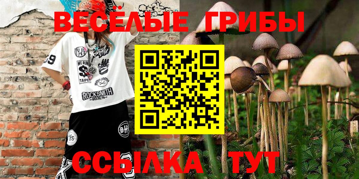 Галлюциногенные грибы GOLDEN TEACHER  Вход с VPN  Амурск 